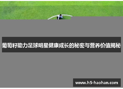 葡萄籽助力足球明星健康成长的秘密与营养价值揭秘